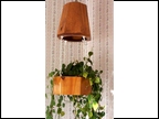  Hanging Planter