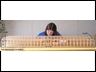 Ark Size
