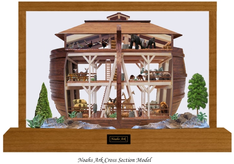 Noahs Ark Cross Section Model