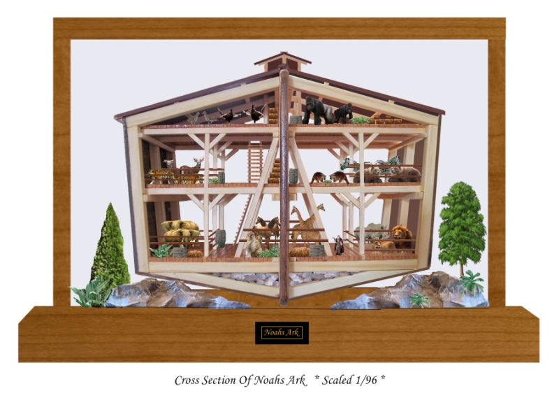 Scaled Noahs Ark Cross Section Model